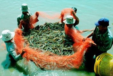 Vạch mặt các kiểu ăn gian trọng lượng sản phẩm đang diễn ra hàng ngày